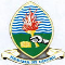 University of Dar es Salaam