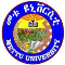 Mettu University	