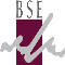 Business School of Excellence BSE