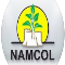 NAMCOL College