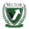 Vector Technology Institute