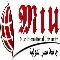 Misr International University